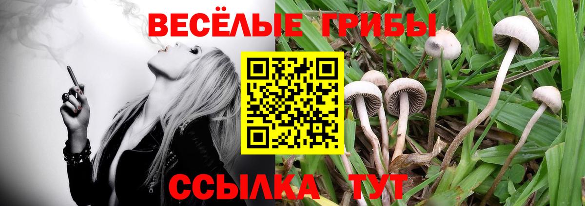 Псилоцибиновые грибы мухоморы  Вход с VPN  Галлюциногенные грибы Psilocybe  Наро-Фоминск 